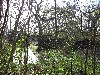 IMG_1076.JPG