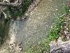 IMG_1080.JPG