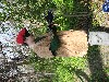 IMG_1096.JPG