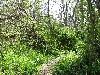 IMG_1108.JPG