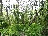IMG_1109.JPG