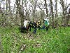 IMG_1126.JPG