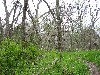 IMG_1127.JPG