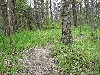 IMG_1128.JPG