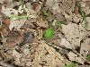 IMG_1172.JPG
