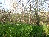IMG_1227.JPG