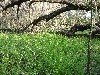 IMG_1230.JPG