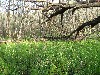 IMG_1231.JPG