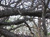 IMG_1264.JPG