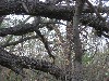 IMG_1265.JPG